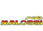 6212352 Malossi Aprilia Whoop Disc Gilera - Piaggio Brake