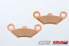 280s33f Brake Explorer Terralander Fren Cf 625 Moto Gold Quad Atv Front 500 Pads