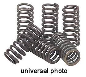 Csk167 Ebc Brakes Clutch Spring Kit