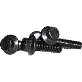 108-9651 Lyndall Brakes 12 Point Rear Rotor Bolts Black 3/8-16x1