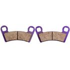 10032935 Rear Brake Pads Carbon Fiber For Polaris S Outlaw 525 Irs 1pair