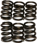 Ebc Clutch Spring Kit CSK72. Fixed Price $13.26.