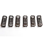 Ebc Clutch Spring Set (6 Pcs) - CSK258. Fixed Price $24.92.