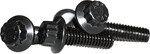 Lyndall 12-POINT Hub Mount Rear Rotor Bolt Kit 3/8"-16 Black 5-PACK. Fixed Price $39.07.