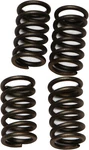 Ebc Clutch Spring Kit CSK135. Fixed Price $12.98.