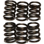 Ebc Brakes Clutch Springs CSK72. Fixed Price $17.90.