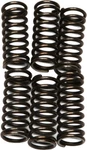 Ebc CSK135 Clutch Springs +15% Upgrade Series For 06-12 Triumph Daytona 675. Fixed Price $20.95.